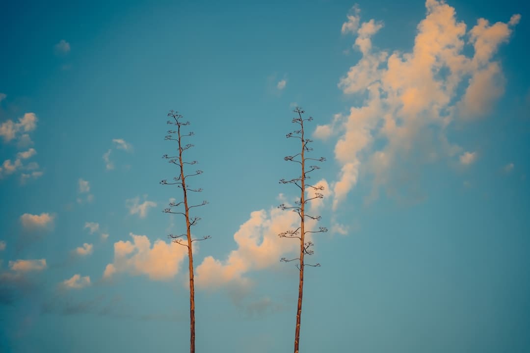 不分红的格力，到底在急什么？